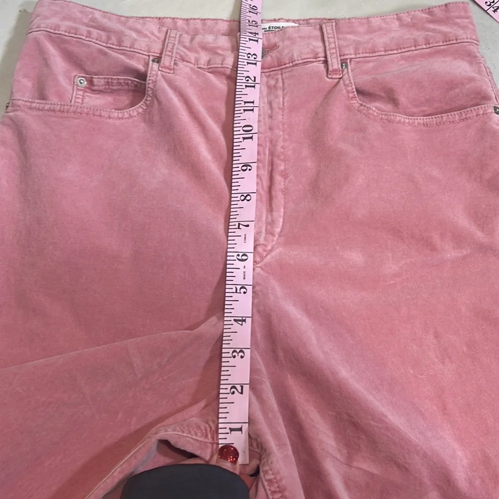 Isabel Marant Etoile High Waisted Anyree Pink Velvet Pants Size 10 (US) - Picture 5 of 8